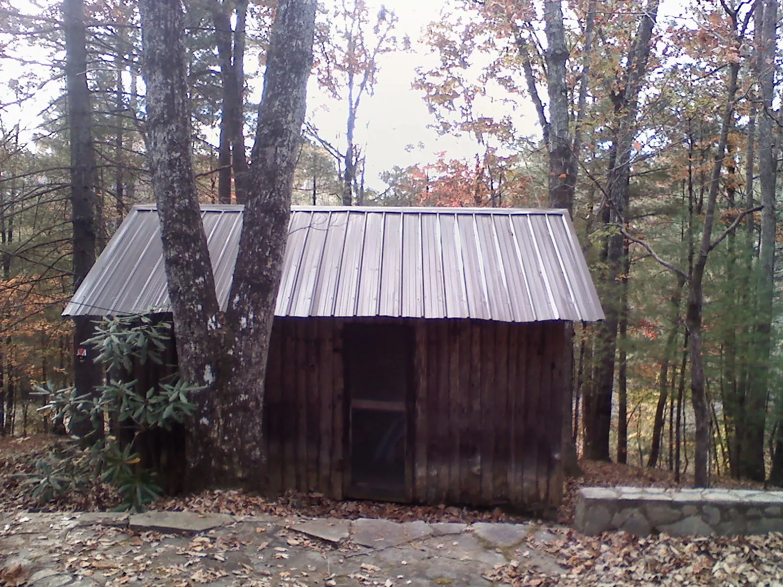 New metal gable roof on a small log shed among the trees in Natural Bridge Station
